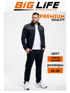 Спортивный костюм мужской на молнии BIG LIFE 127855657 купить за 2 068 ₽ в интернет-магазине Wildberries