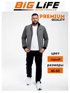 Спортивный костюм мужской на молнии BIG LIFE 127855676 купить за 1 713 ₽ в интернет-магазине Wildberries