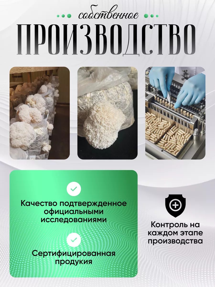 Ежовик гребенчатый мицелий lions mane, молотый 500 гр. NSOrganic 128124922  купить в интернет-магазине Wildberries