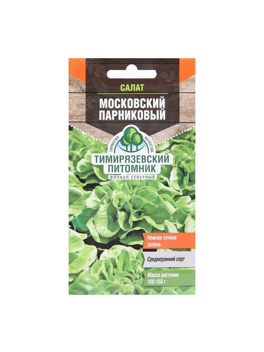 Сорт салата московский парниковый. Салат Московский парниковый. Салат Московский растение. Салат Московский парниковый описание сорта. Салат Московский парниковый для детей.