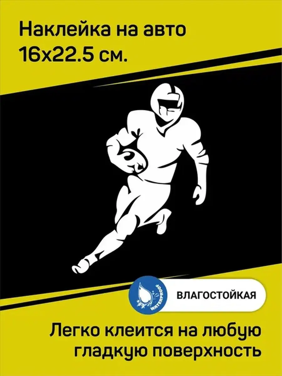 Регби