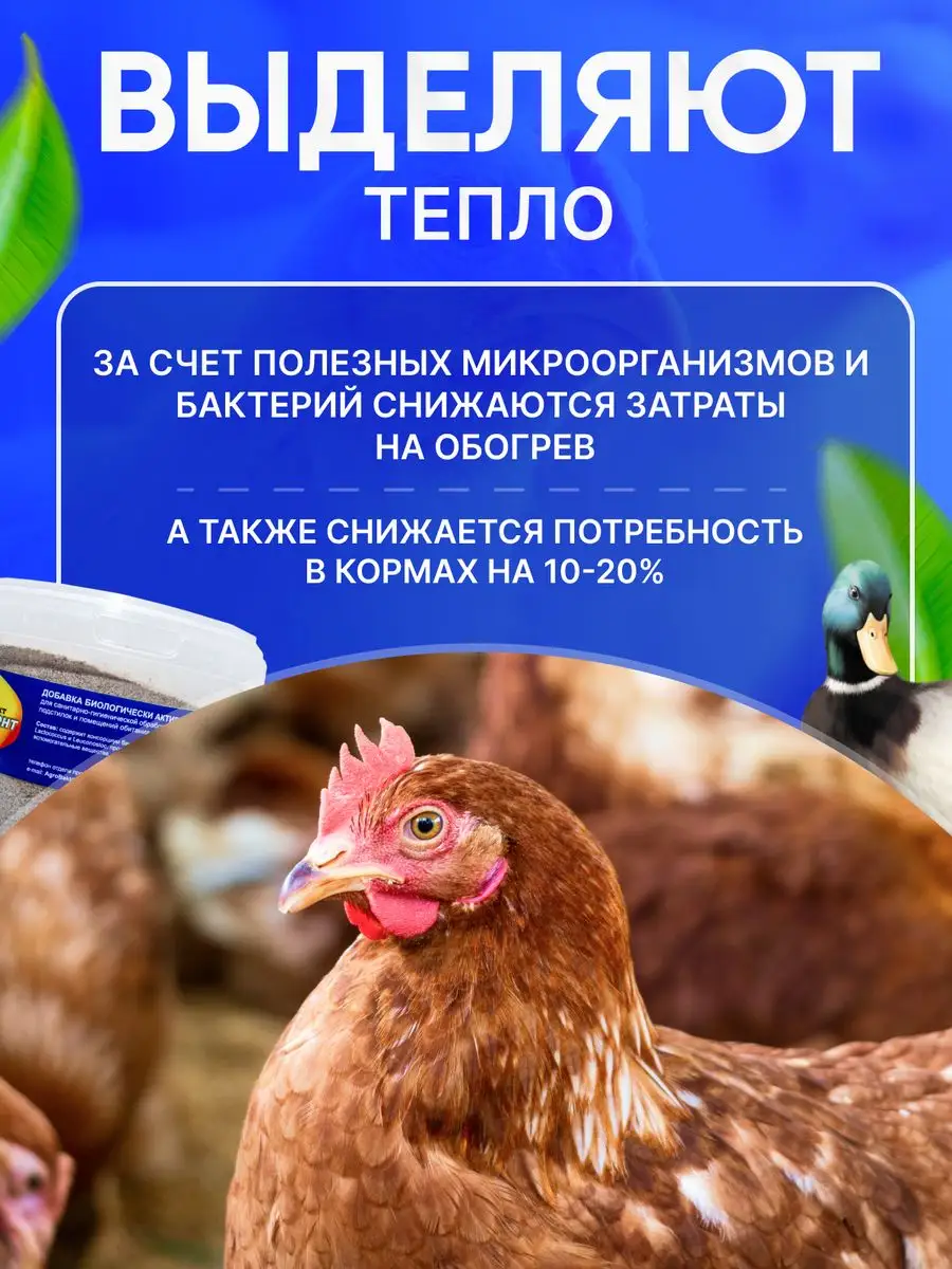 Бактерии для подстилки в 1200 грамм АгроБакт 128774712 купить за 991 ₽ в  интернет-магазине Wildberries