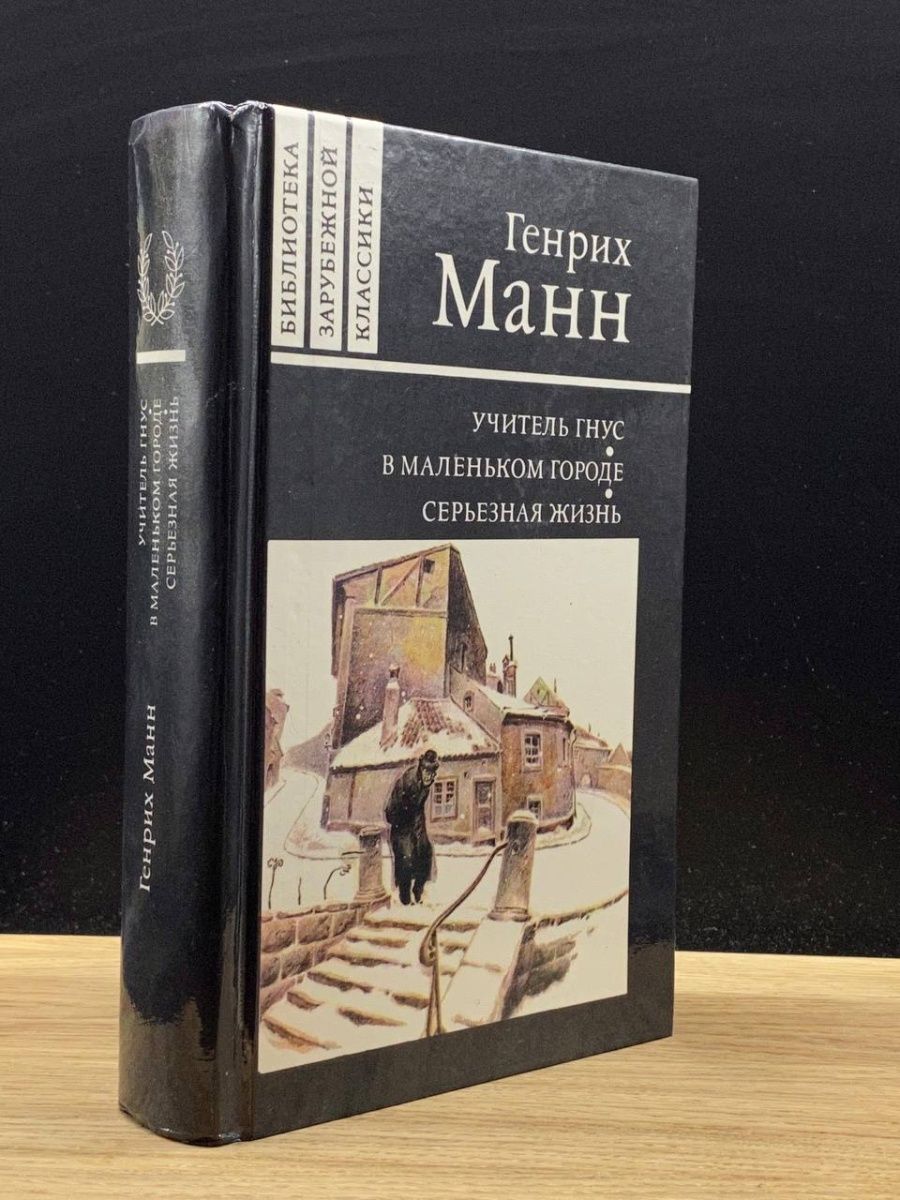 Учитель Гнус. В маленьком городе. Серьезная жизнь Правда 128879001 купить в  интернет-магазине Wildberries