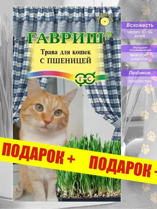 Трава для кошек image