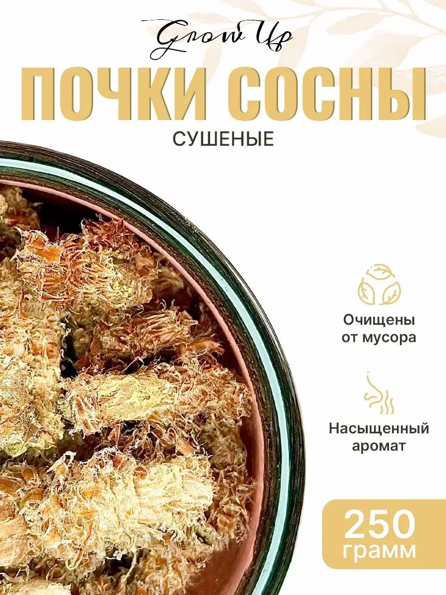 Сушеные почки Сосновые, сбор, 250 гр Grow Up / Сухая трава 250 гр.  129079412 купить за 960 ₽ в интернет-магазине Wildberries