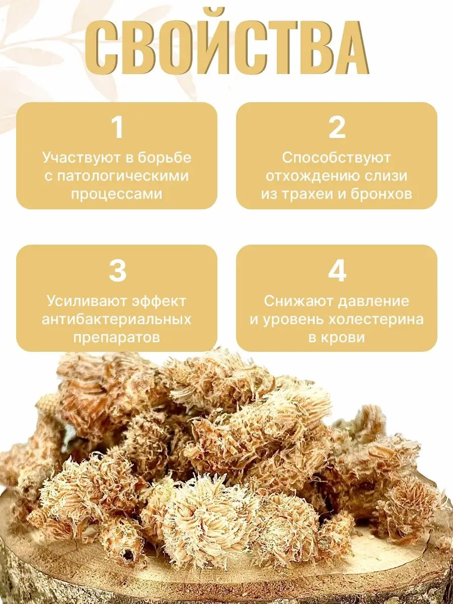 Сушеные почки Сосновые, сбор, 250 гр Grow Up / Сухая трава 250 гр.  129079412 купить за 960 ₽ в интернет-магазине Wildberries