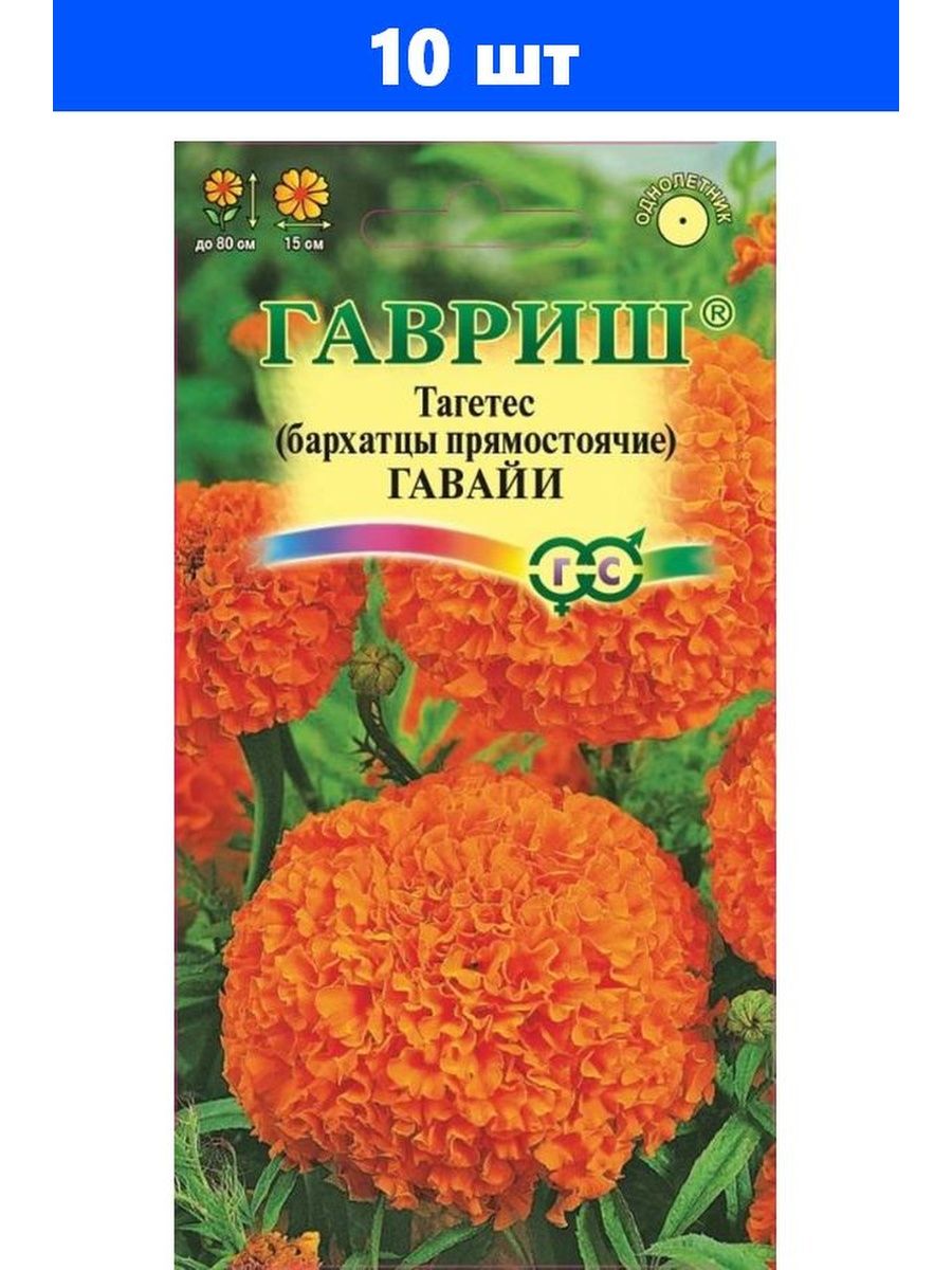 Бархатцы гавриш