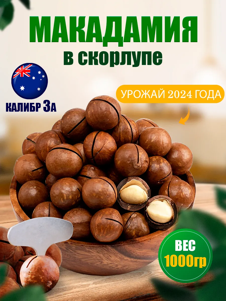 Макадамия орехи в скорлупе 1 кг Nuts Life 129580223 купить за 481 ₽ в  интернет-магазине Wildberries