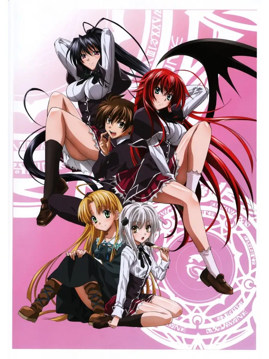 Старшая школа DxD High School DxD Аниме 129619572 купить за 1 044 ₽ в  интернет-магазине Wildberries