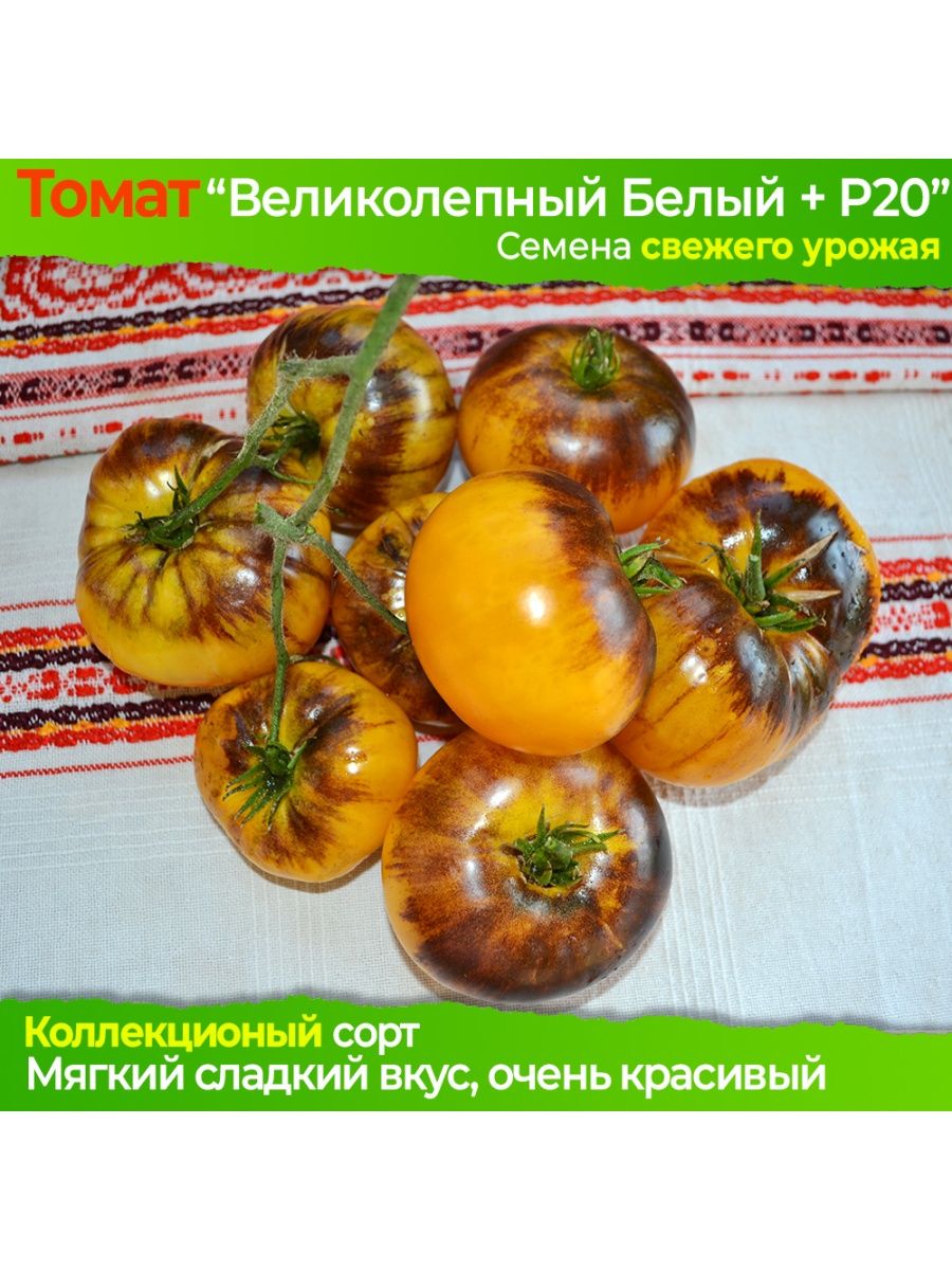 Великолепный белый п20 томат