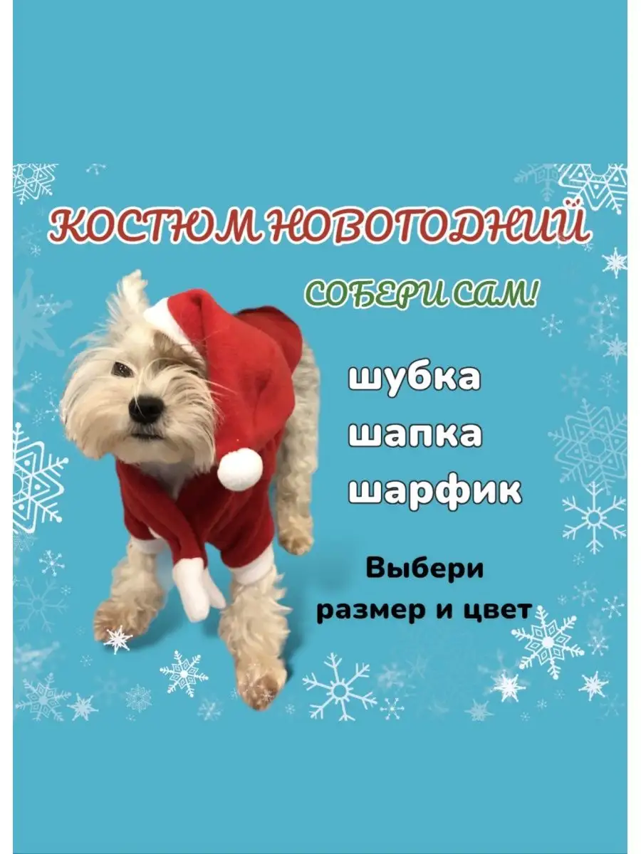 как сшить для собаки своими руками одежду | Дзен