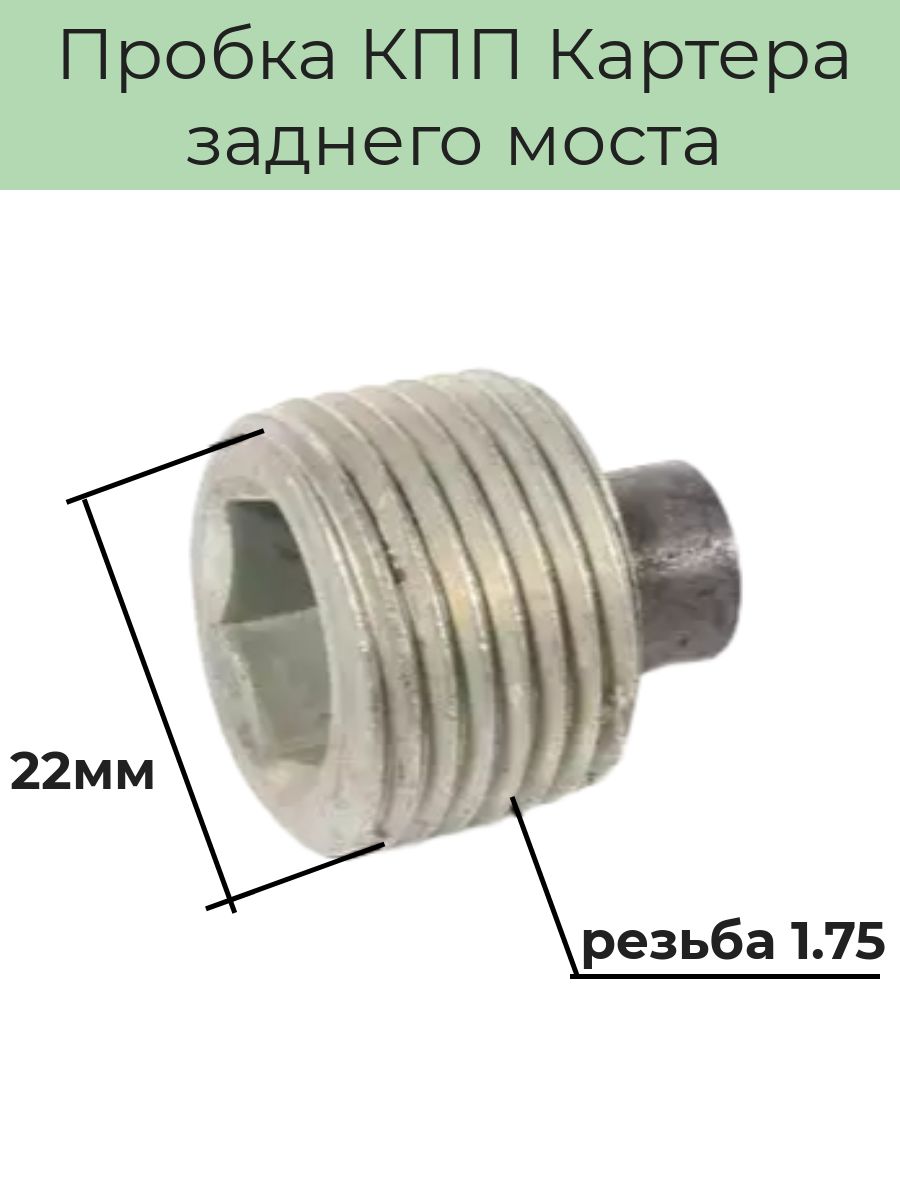 Пробка заднего моста газель. Пробка сливная заднего моста Газель. Диаметр сливной пробка в заднем мосту Газель. Ключ для сливной пробки заднего моста Газель. Пробка задний мост Газель артикул.