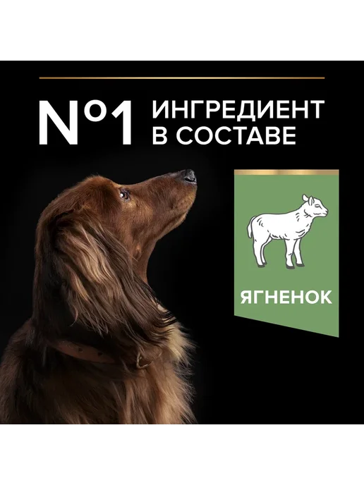 Сухой корм PRO PLAN Жкт для собак, чувствительное пищеварение, ягненок, 0,7 кг, фото 7